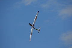 k-DSC_5352