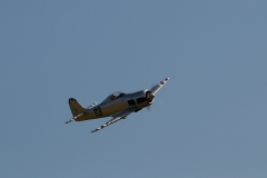 k-DSD_6804