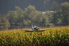 k-DSD_6892