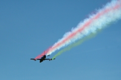 DSC_4767_01