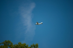 k-DSC_1118