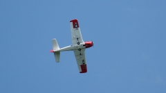 087_DSC07990_pscape_mail