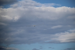 k-18-08-21-Fliegen-043