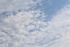 k-18-08-21-Fliegen-122