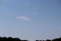 k-18-08-21-Fliegen-134