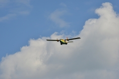 k-DSC_9854