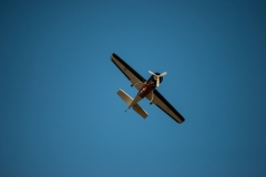 ab-5