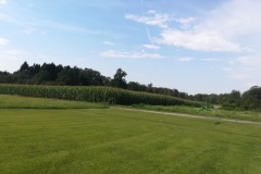 37678154_1875236529181223_4946057026376564736_n