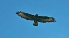 23_DSC03657_Juli_2020