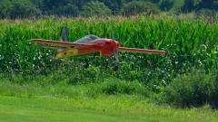 60_DSC07571_Juli_2020