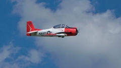 20_DSC06893_Juni_2020