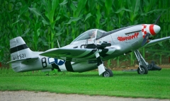 52_DSC03593_Juni_2020