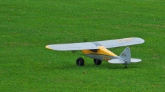 81_DSC07079_Juni_2020