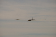 k-DSC_7717