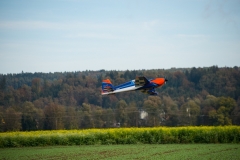 k-DSC_7736