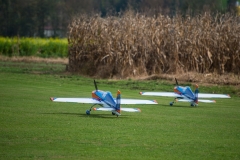 k-DSC_7782