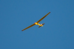 ab-20