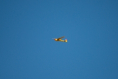 ab-22