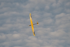 DSC_7603