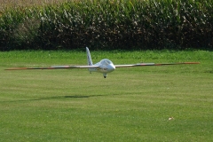 053_DSC09013_Sept_2020